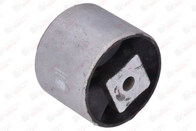 SUPORT MOTOR BIRTH 53418 6