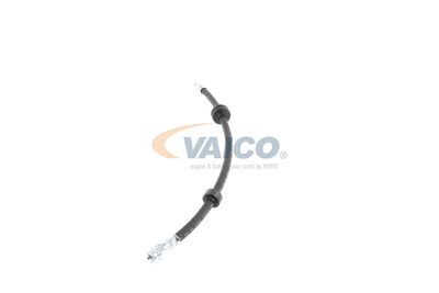 FURTUN FRANA VAICO V240328 14