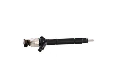 INJECTOR REMANTE 002003002039R 38