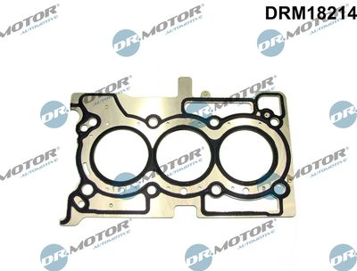 Dr.Motor Automotive DRM18214 Прокладка ГБЦ  для DACIA  (Дача Логан)