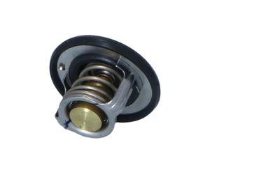TERMOSTAT LICHID RACIRE NRF 725211 31