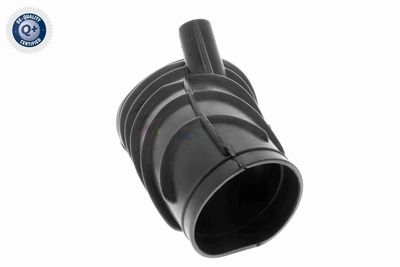 ANSAUGSCHLAUCH LUFTFILTER VAICO V202134 3