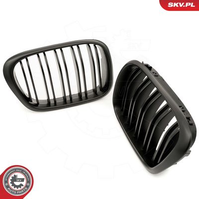 GRILA RADIATOR ESEN SKV 66SKV162 1