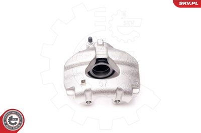 Brake Caliper 34SKV232