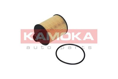 Oil Filter F111601