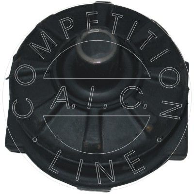 LAGERUNG ACHSKöRPER