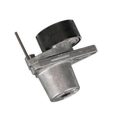 INTINZATOR CUREA CUREA DISTRIBUTIE GATES T39251 61