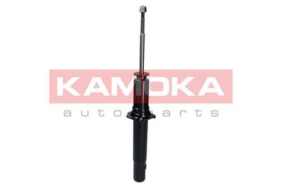 Shock Absorber 2000711