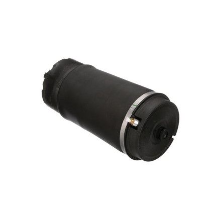 LUFTFEDER FAHRWERK Arnott A2831 31