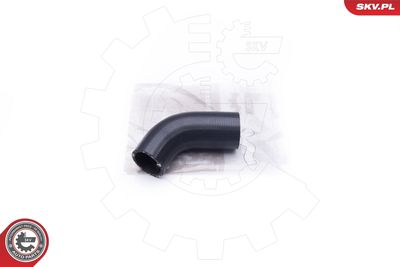 FURTUN EAR SUPRAALIMENTARE