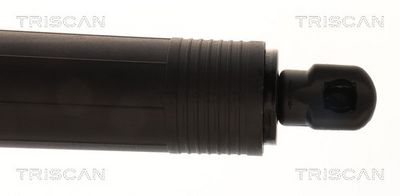 AMORTIZOR PORTBAGAJ TRISCAN 871029333 2