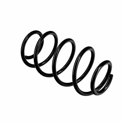 ARC SPIRAL EIBACH R10569 10