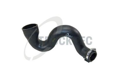 FURTUN EAR SUPRAALIMENTARE