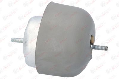 SUPORT MOTOR BIRTH 5915 11