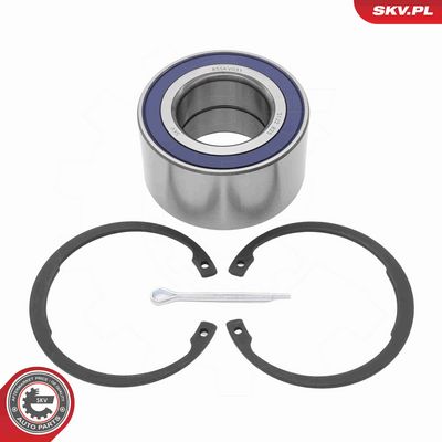 SET RULMENT ROATA ESEN SKV 85SKV031 1