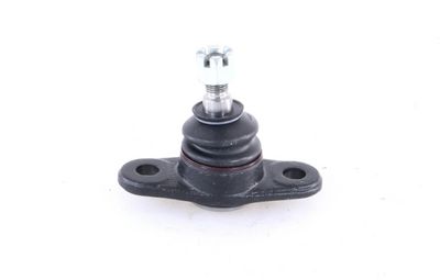 Šarnyras / girgždukas