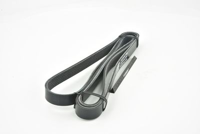 CUREA TRANSMISIE CU CANELURI FEBEST 881286L2138 42