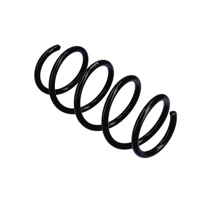 ARC SPIRAL EIBACH R22934 10