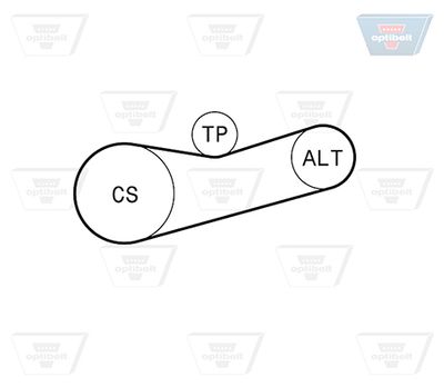 SET CUREA TRANSMISIE CU CANELURI OPTIBELT 6PK1180KT2 1