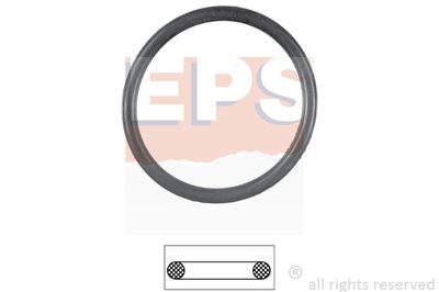 Прокладка, термостат EPS 1.890.551 для MITSUBISHI SPACE