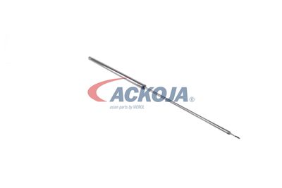 AMORTIZOR PORTBAGAJ ACKOJA A520065 21