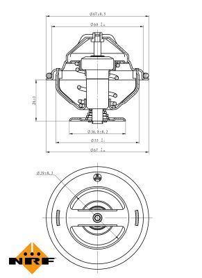 Thermostat, coolant 725105