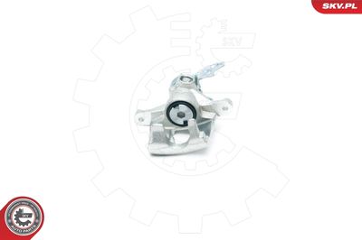 Brake Caliper 23SKV193