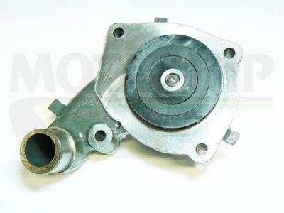 Водяной насос, охлаждение двигателя MOTAQUIP VWP534 для FORD P100