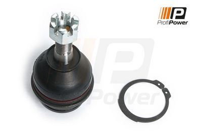 Šarnyras / girgždukas 2S0129 ProfiPower