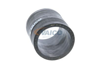 FURTUN EAR SUPRAALIMENTARE VAICO V401366 21