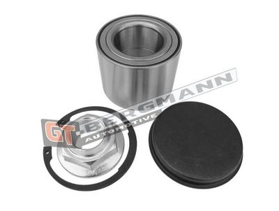 GT-BERGMANN Automotive Rato guolio komplektas