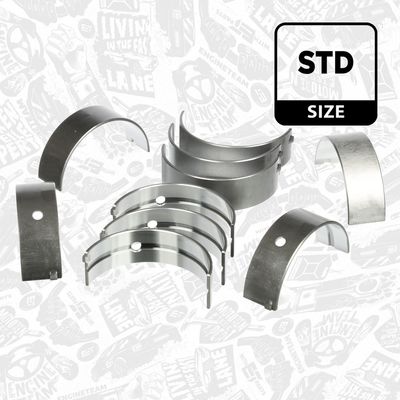 SET RULEMT ARBORE COTIT ET ENGINETEAM LH006800 2