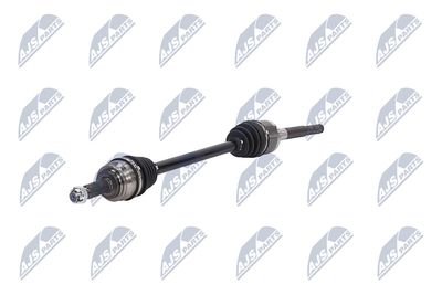 PLANETARA NTY NPWCH044 19