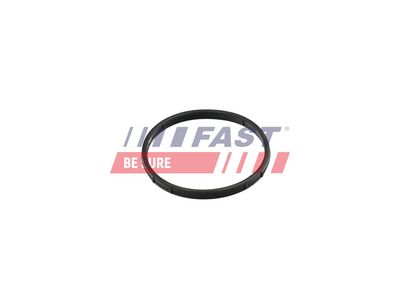 Těsnění, AGR ventil FAST FT50602
