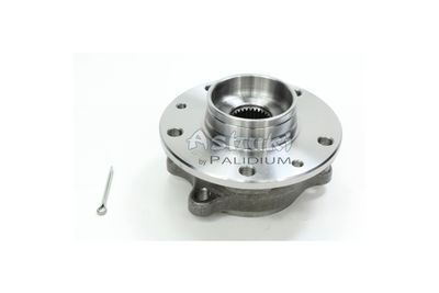 ASHUKI by Palidium N802-50 Подшипник ступицы  для NISSAN PATHFINDER III (R51) 3.0 dCi