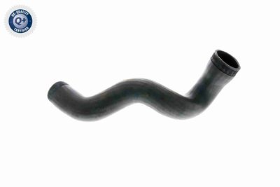 LADELUFTSCHLAUCH VAICO V103141 5