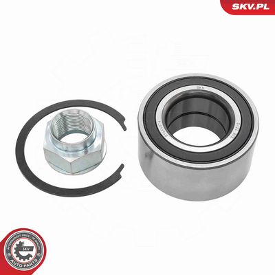 SET RULMENT ROATA ESEN SKV 85SKV074 1