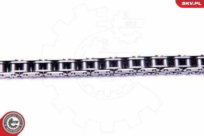 Timing Chain Kit 21SKV131