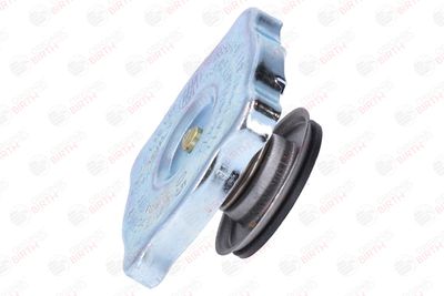 BUSON RADIATOR BIRTH 8087 3