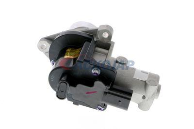 SUPAPA EGR ACKOJA A53630003 38