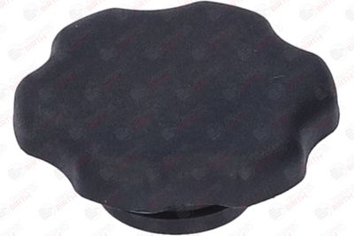 BUSON UMPLERE ULEI BIRTH 8813 6