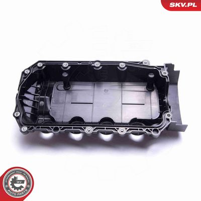 CAPAC CULBUTOR ESEN SKV 48SKV073 3