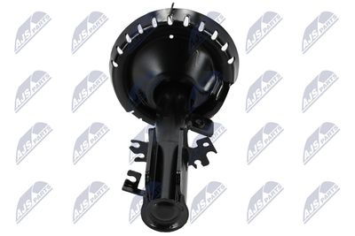 AMORTIZOR NTY ACT042 16