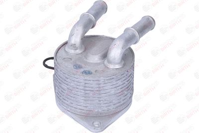 RADIATOR ULEI ULEI MOTOR BIRTH 80874 8