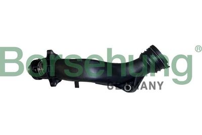 TERMOSTAT LICHID RACIRE Borsehung B10560