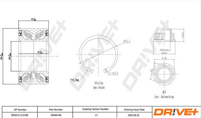 RADLAGERSATZ DR!VE+ DP2010100168 1