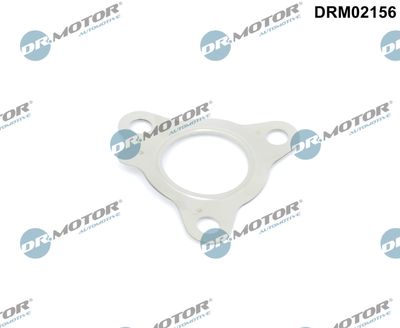 Dr.Motor Automotive Dichtung, Lader