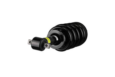 AMORTIZOR Arnott SK2954 36