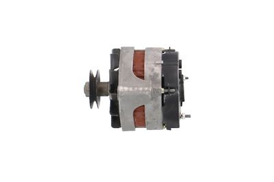 GENERATOR / ALTERNATOR REMANTE 011003000079R 17