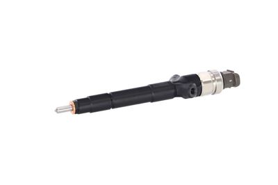 INJECTOR REMANTE 002003000085R 8
